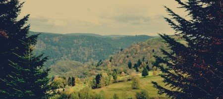 vosges