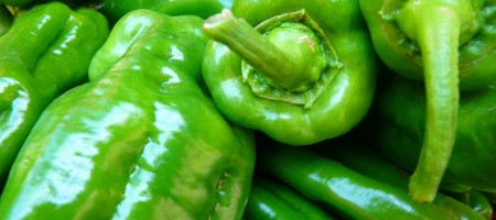 alimentation saine