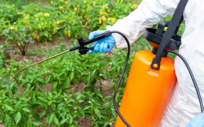 Glyphosate : l’herbicide OGM impliqué dans des cas mortels de maladies rénales.