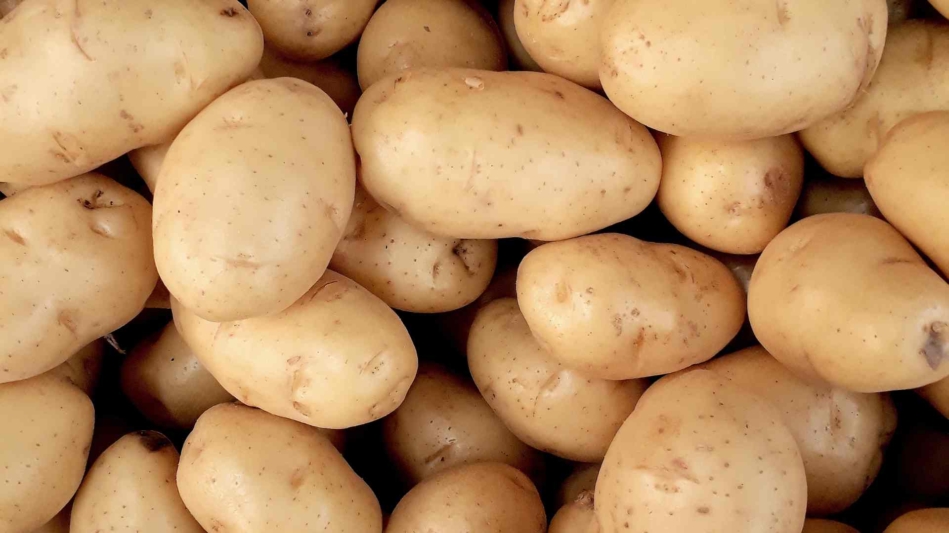 pommes de terre