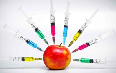 La technologie OGM est-elle précise ?