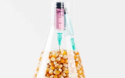 Les tests réglementaires actuels sont insuffisants pour les nouveaux OGM, selon les chercheurs de l’USDA.