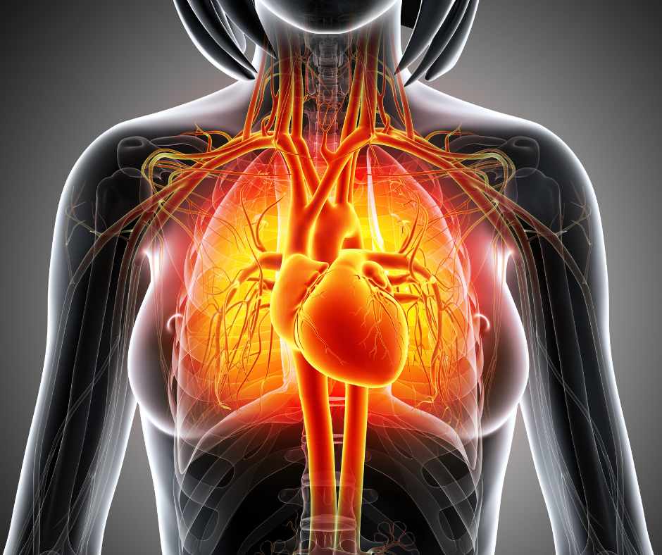 maladies cardiovasculaires