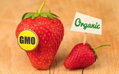 Les mères manifestent pour l’étiquetage des OGM – et cela pourrait bien se réaliser.