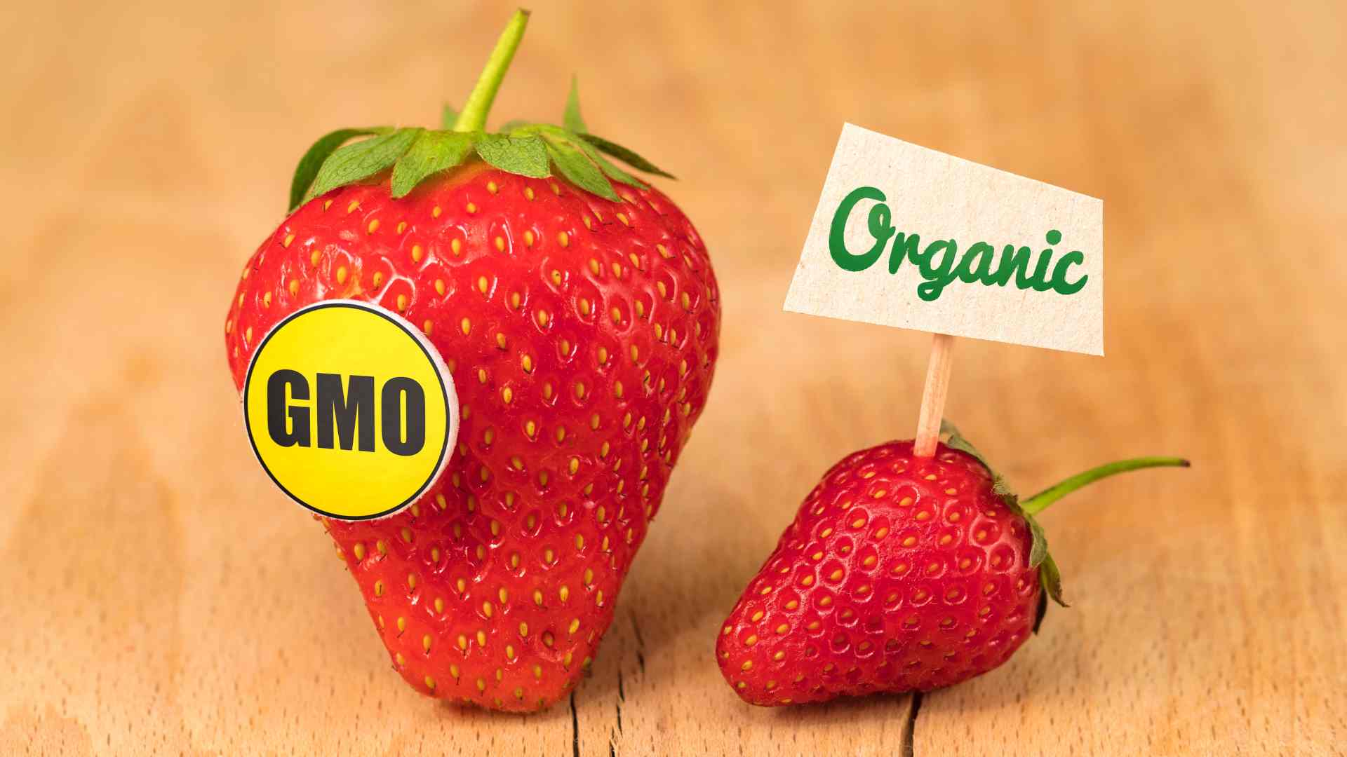 étiquetage des OGM