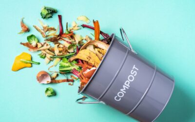 Comment faire votre propre compost urbain en appartement