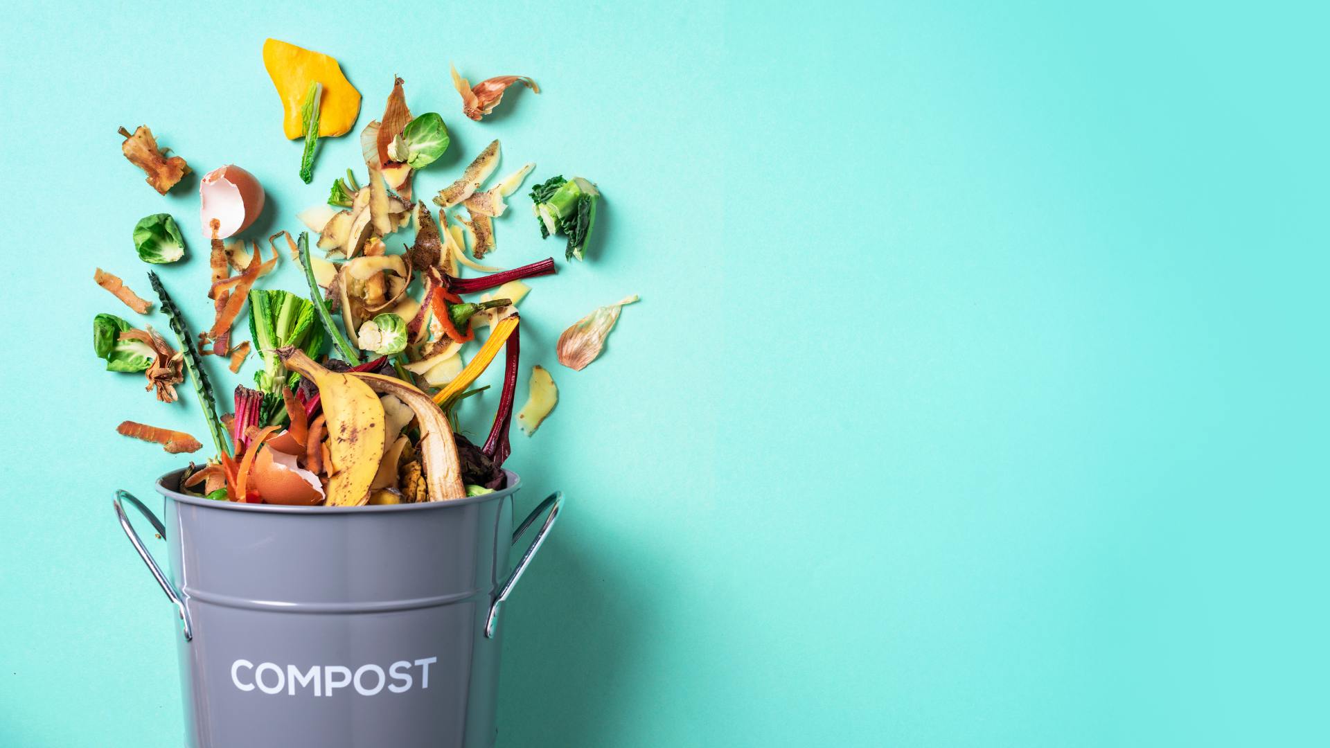 compost 