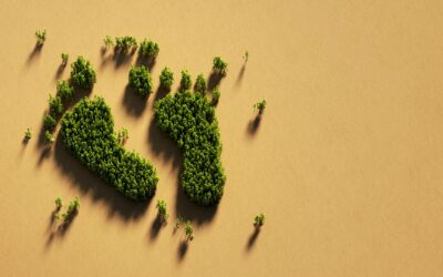 10 actions quotidiennes pour réduire votre empreinte carbone