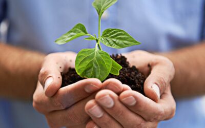 Comment les entreprises peuvent-elles contribuer à un environnement plus propre ?