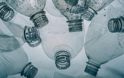 Réduire les déchets plastiques : techniques et alternatives pour le quotidien